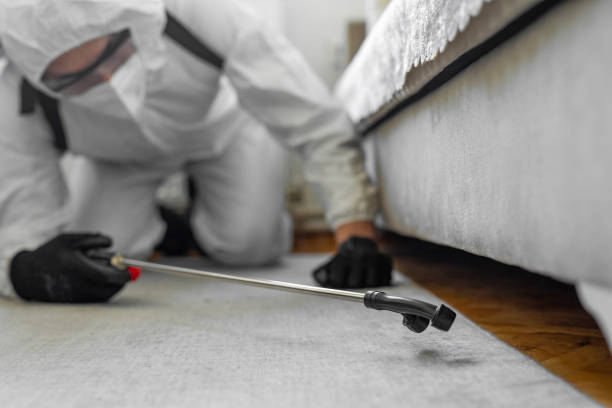 Professional Termite Control technician working in Addison, IL